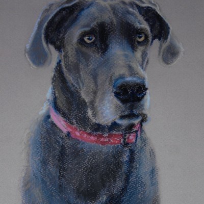 Grey dog painting