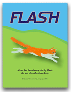 Flash children's book